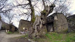 Camino de Santiago Winter 2016