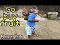 YoYo JR goes to buy fruit