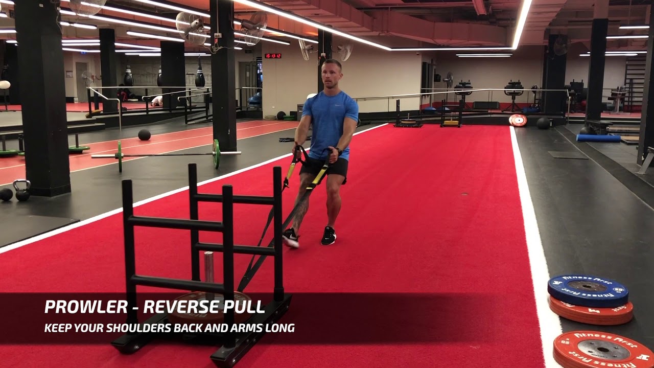 EXERCISE TUTORIAL Prowler Reverse Pull YouTube