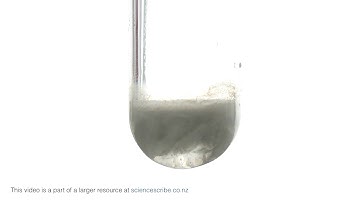 Cation J: New sample. Add 2 drops ammonia.