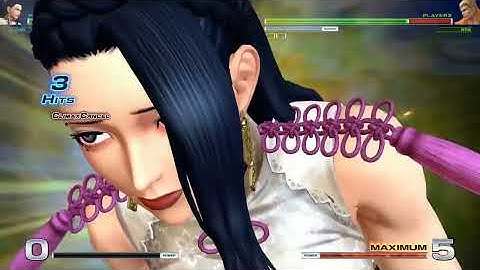 The King of Fighters XIV: Team Kim