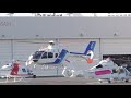 12月忙しい師走の東京ヘリポート ヘリコプター離着陸シーン/Tokyo Heliport Helicopter Takeoff and Landing Compilation