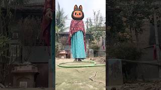cute Zimomo & Mokoko jumping into the hula hoop #shortvideo 😱😱😱…part31