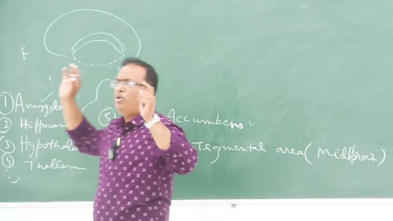Lecture On Anatomy of the Brainstem: A Comprehensive Guide for Medical Students | MBBS
