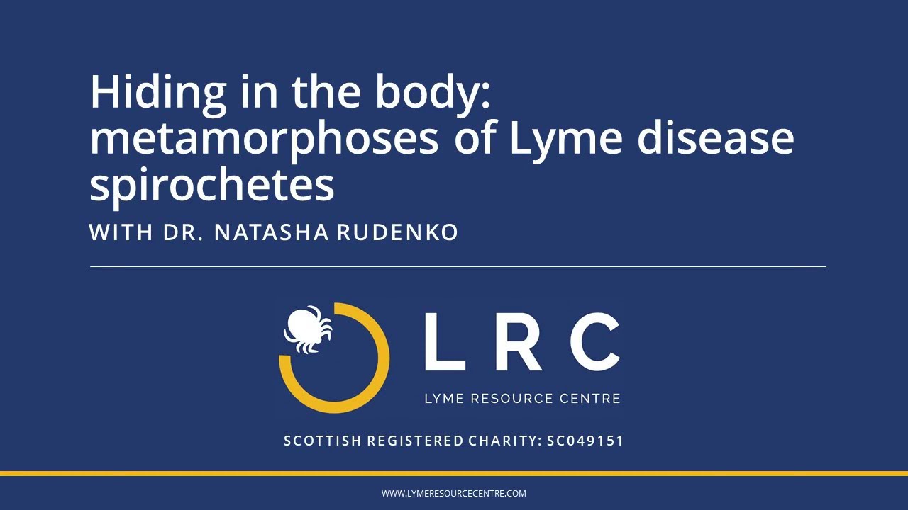 Hiding in the body: metamorphoses of Lyme disease spirochetes