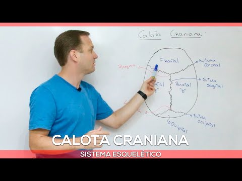 Vídeo: Como Amarrar Uma Calota Craniana