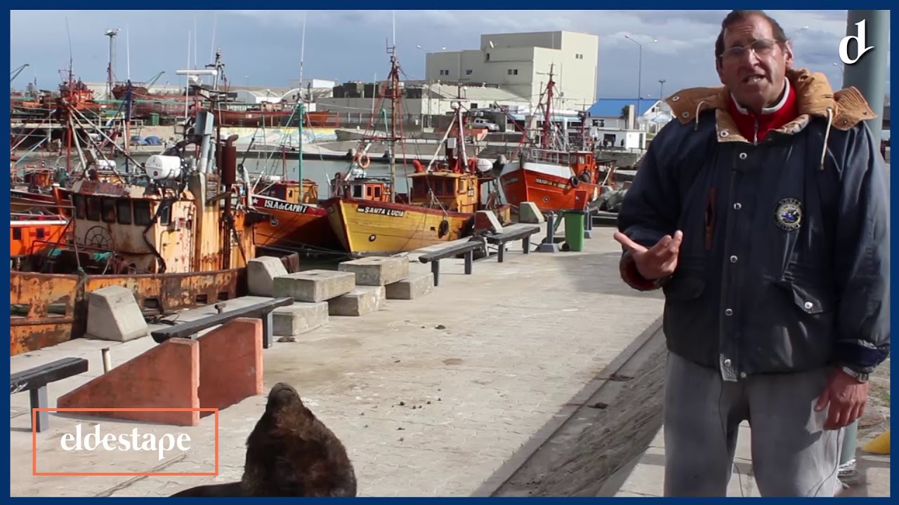 El Destape | Mar del Plata: ciudad afectada por las importaciones y la falta de trabajo noticias de puerto rico