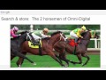 Omni.Digital 2015 - "Cross Channel Effects of Search Engine Advertising on Brick &amp; Mortar..."