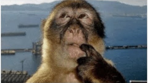 Can you drift a bmw [tutorial] 