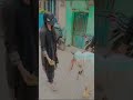 teraaa yaar hu mainnnn 🥺 #bakra #new #goat #bakraeidspecial #qurbani #comingsoon #habeeb #ibraah