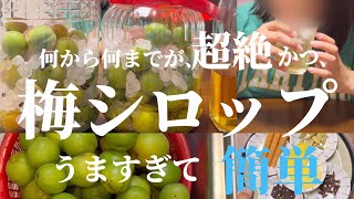 【梅仕事】手作り梅シロップ①簡単に作れて超絶美味しい！