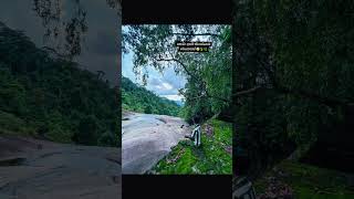 travel කරන්න ආසාය like එකක් දාලා subscribe කරන් යම් 😇❤️🍃🌿#travel #mountainswiev #viral #foryou