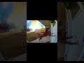 Hero Dog Warns Family of Garage Fire 🔥🐕 Emotional CCTV Rescue | AI Spectrix #shortvideo #shorts