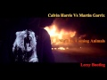 Calvin Harris Vs Martin Garrix - We'll Be Coming Animals (Lecsy Bootleg)