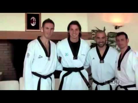 Zlatan Ibrahimovic ● Taekwondo Goals