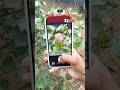 iPhone 12 camera test in iOS 26.5 #ios26 #iphone #tweening #audio #trending #iphoneupdates