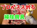 オカメインコブリーダー　プロが使う日々の掃除にはこれ！