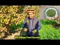 Amrood Ki Chutney Recipe | Guava Chutney  Healthy Food MUKKRAM SALEEM | MY Village Food Secrets