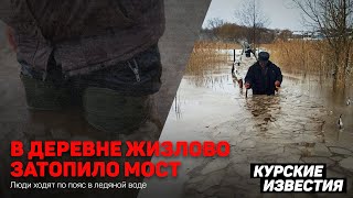 В деревне Жизлово затопило мост, люди ходят по пояс в воде