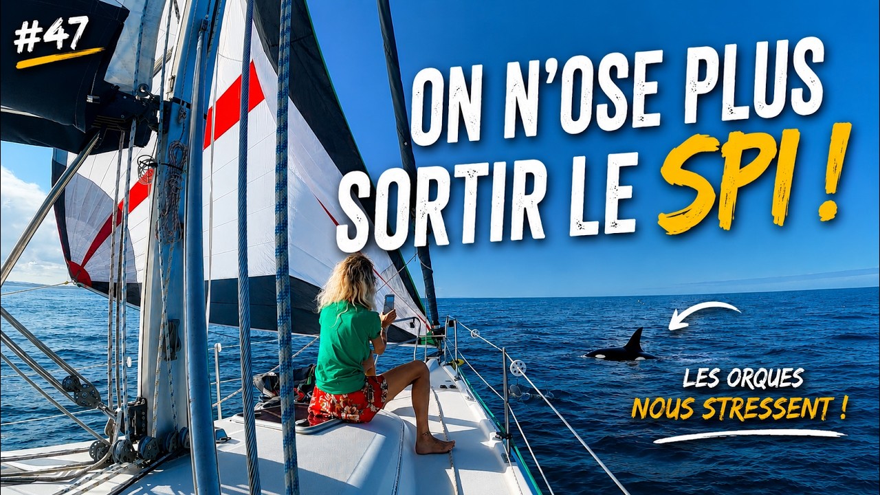 ⁣De Nazaré à Lisbonne en voilier… les orques nous font ranger le spi !