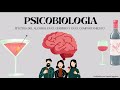 228. EFECTOS DEL ALCOHOL EN EL CEREBRO Y EN EL COMPORTAMIENTO. Ingrid Ingelmo Pérez.