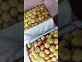 sabji Mandi Gujranwala