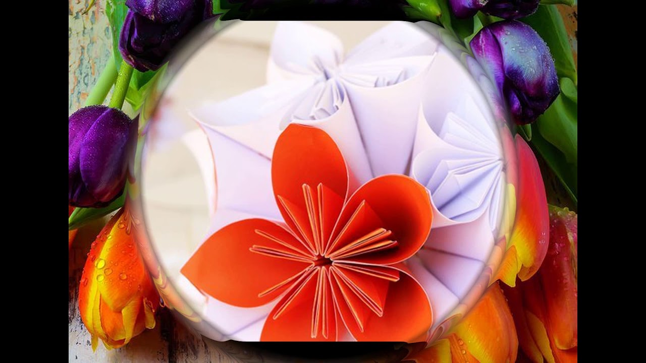 My flower dream YouTube