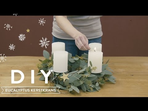 Video: Hoe knip je eucalyptustakken?