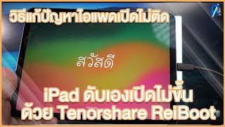 วิธีแก้ปัญหาไอแพดเปิดไม่ติด iPad ดับเองเปิดไม่ขึ้นด้วย Tenorshare ReiBoot
