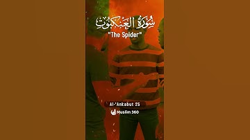 Surah Al-Ankabut 25 | Urdu-Hindi Audio Translation | سورة العنكبوت | #surah #islamdaily