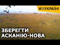 Врятувати Асканію-Нова | #ВУКРАЇНІ