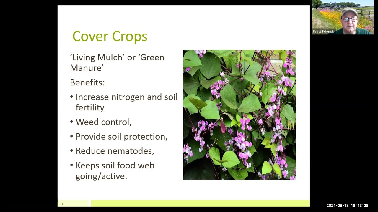 Webinar: Warm Season Veggies, May 2021 - YouTube