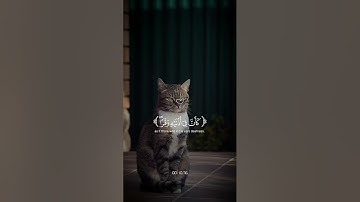 سورة لقمان ❤️🩹❤️🩹 #قرآن #راحة_نفسية