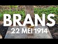 Brans