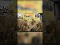 Northeast Ohio Sportsman Show Epic Hunting & Outdoors Expo! Goto full video at end of short.