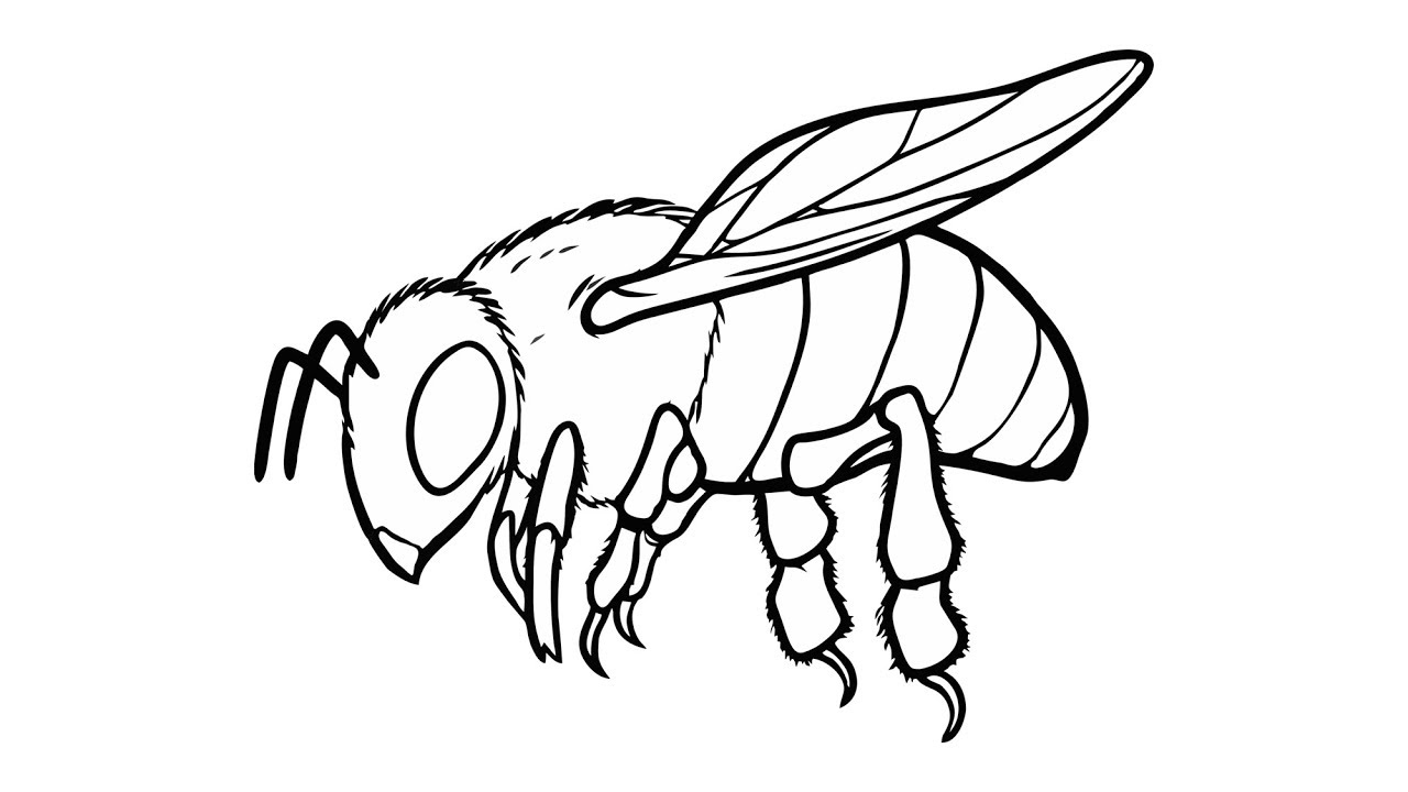 Uniqso تلوين نحلة للتلوين