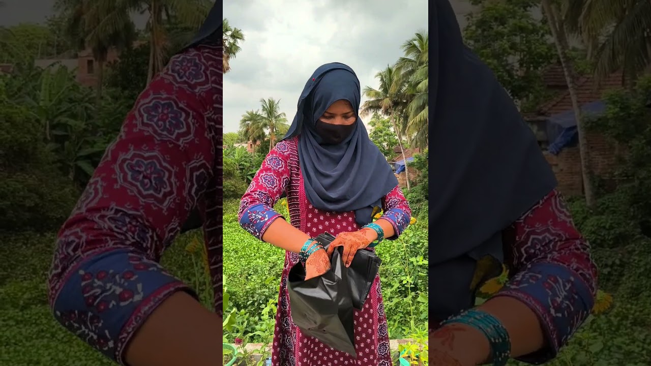 গাছেদের জন্যে আবারও কি কিনলাম??🤗✨ #shorts #ytshorts #gardening
