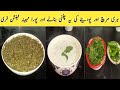Pudina chatni recipe by flavour of mithas              