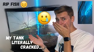 My *TRAUMATIC* Weekend (My Fish Tank Cracked!)💥