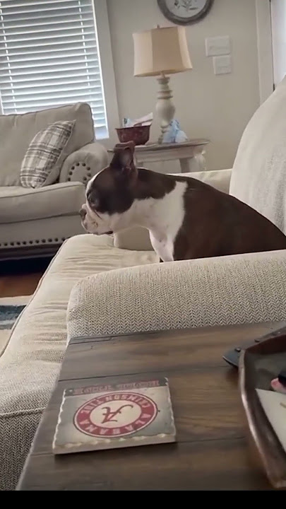When someone sits on the spot on your couch 😂