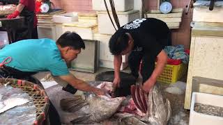 Hong Kong seafood of fisherman  西環魚王 目前劏最大的海野生龍躉
