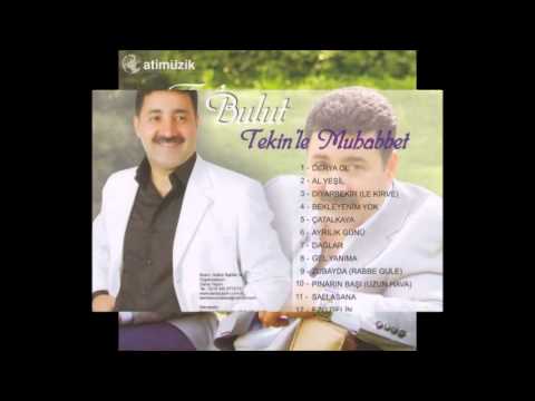 Tekin Bulut - Diyarbekir Le Kirve