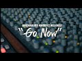DiggChugaloo x Northeast Bo x Krissy - Go Now (Official Video) #go #now #relationship #breakup