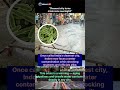 Cleanest city turns crisis zone overnight!