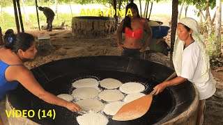 17 DIAS EM UMA COMUNIDADE RIBEIRINHA NO LAGO AMANÃ - AMAZONAS. VÍDEO ( 14 )