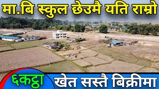 Sasto 6 katha khet bikrima | agriculture land in sale | cheap price land on sale in nepal |3rdeye33.