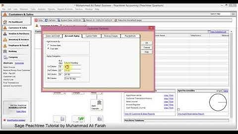 Sage Peachtree   Lesson 6  Setting Up Customers Default Inforamation   YouTube