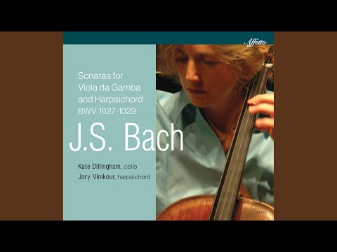 Viola da gamba Sonata in D Major, BWV 1028 (Arr. for Cello & Harpsichord) : III. Andante