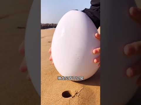 Catching Seafood🐡🦈🦀🐙 ASMR