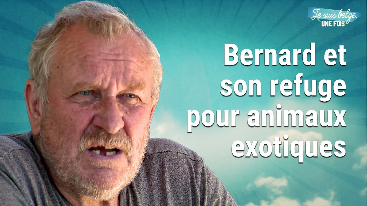 Bernard et son refuge pour animaux exotiques | Je suis Belge, une fois !